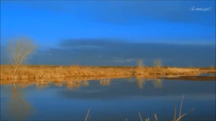 Bernward Koch - Flowing Blue