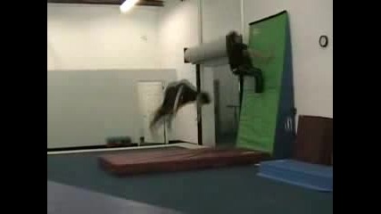 Double Wallflip 2