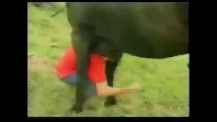 mi ochakwashe se tova da se sluchi