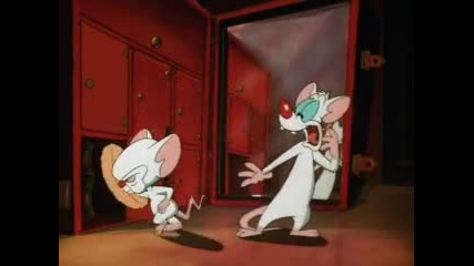 Pinky and the Brain,ep. 26
