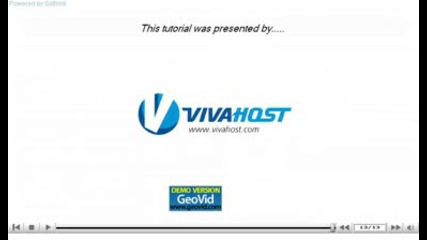 How to manage the Raw Access Logs by www.vivahost.com