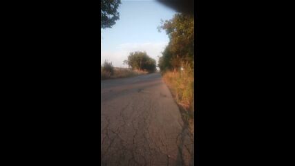 Vid_20230820_065216.mp4
