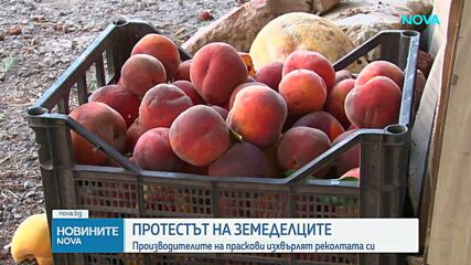 Земеделци от Сливенско - на протест заради ниски изкупни цени и липса на пазари