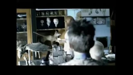 Aqua - Bumble Bees - Official Video