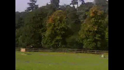 Dangerous Animals - Lawnmower Rhino !!!