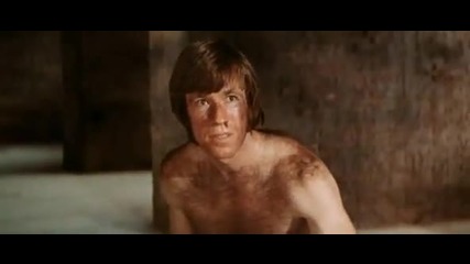 bruce lee vs. chuck norris