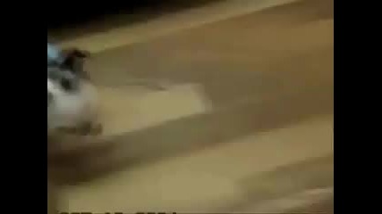 Малко сладко кученце