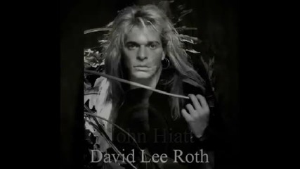 Lynyrd Skynyrd - Raining In My Heartland (unplugged) Live