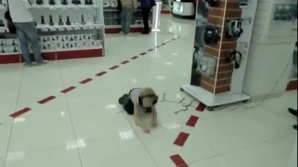 Малкото русначе побесня в супермаркета !
