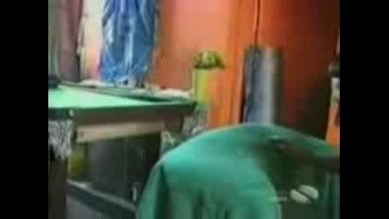 Funny Dogs