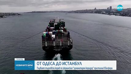 Първият търговски кораб, минал по украинския „хуманитарен коридор”, пристигна в Истанбул