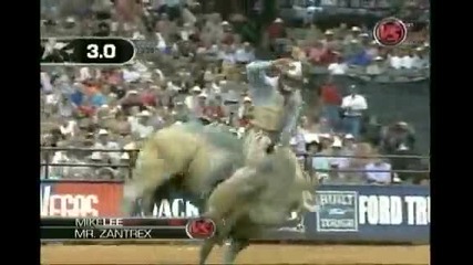 Mike Lee Wins in Dallas