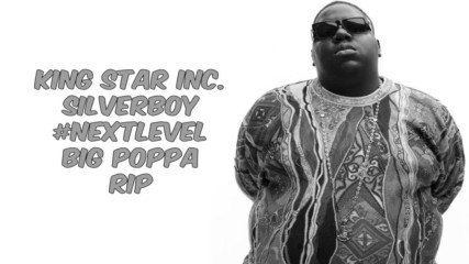 Silvъrboy - B.i.g. Big Poppa