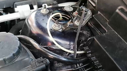 Vid_20210222_160019.mp4