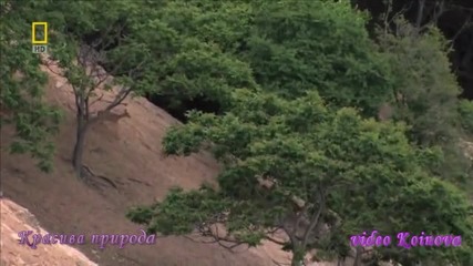 красива природа