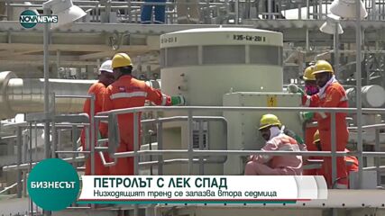 Цената на петрола падна