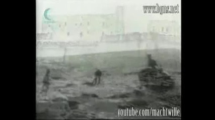 Български воиници