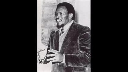 A Tribe Called Quest - Steve Biko (stir It Up)