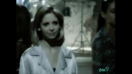 Buffy & Angel - Stup!d