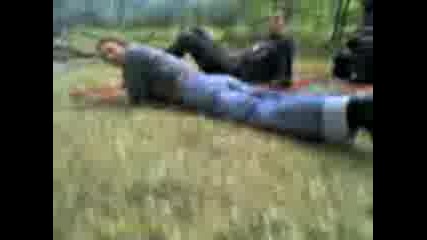 В Гората