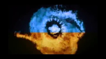 The Big Brother Project - - :d