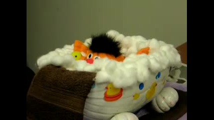 Rubber Ducky...you re The One 
