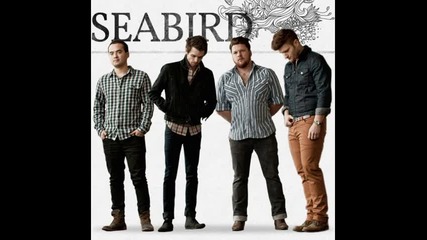 Seabird - Stronger