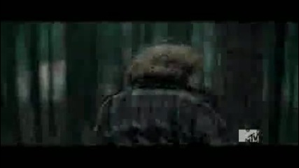 Harry Potter and the Deathly Hallows Trailer