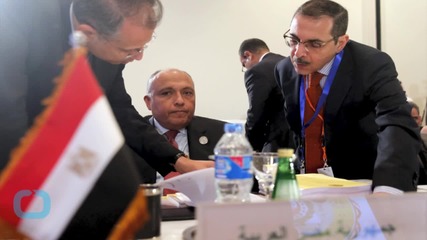 Arab Foreign Ministers Agree on Unified Military Force: Egyptian TV