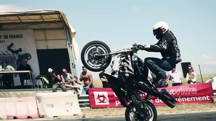 Stunt-bums