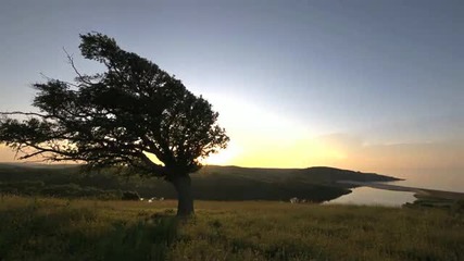 Това е България