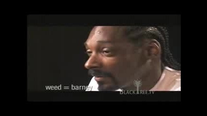 Snoop Dogg Говори За Тревата