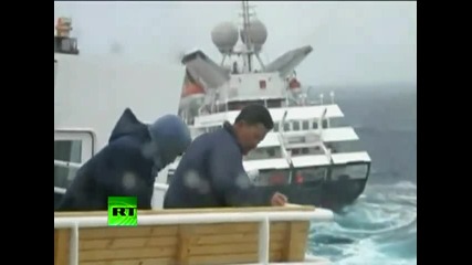Dramatic video of Clelia Ii Antarctic cruise ship slammed by giant waves