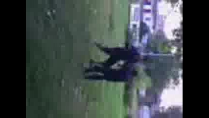 Видео000