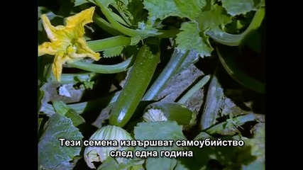 Красивата истина (4/5) Гмо