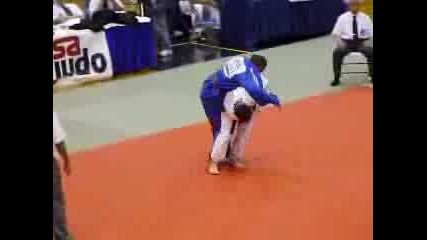 Judo Ippons