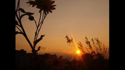 Българската природа... 