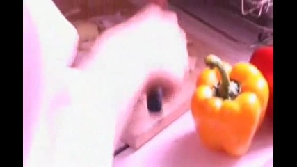 Seto Kouji Prince Series Dvd - Cooking 1 2
