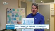 Зеленият преход срещу защитените земи: Битка за богатите находища на метали в Лапландия