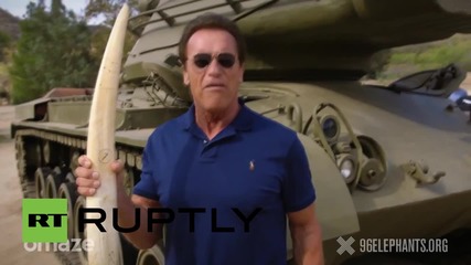USA: Watch Arnold Schwarzenegger terminate tusk for anti-poaching campaign