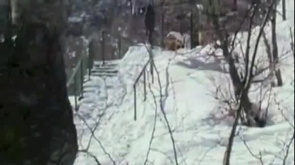 The people vs winter/върху леда всички са равни