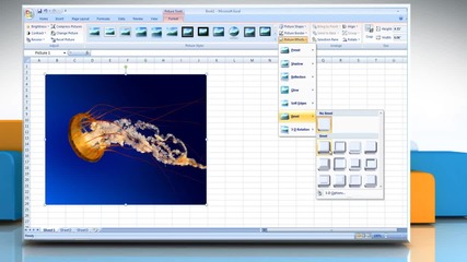 Microsoft® Excel 2007: How to add effect to a picture on Windows® 7?