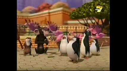 Пингвините от Мадагаскар -сезон 1 еп. 11