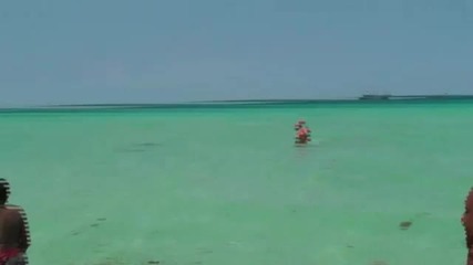Акула на брега на Маями Бийч 