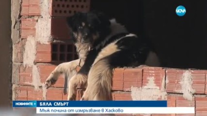 Новините на NOVA (12.01.2017 - следобедна)