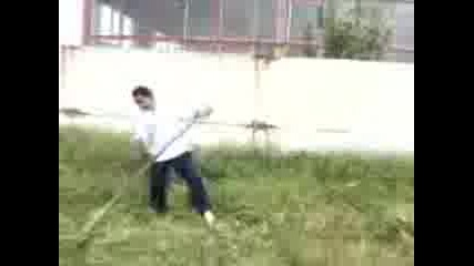 Yasar 1