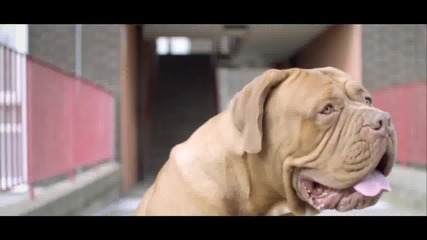 Example - Watch The Sun Come Up * H D * 720p