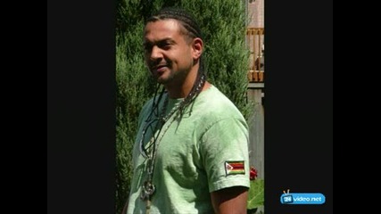 Sean Paul - Tiger bone