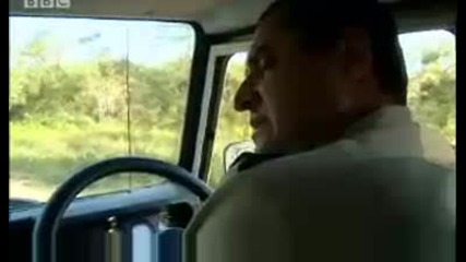 Man - eating lions - Ultimate Killers - Bbc wildlife