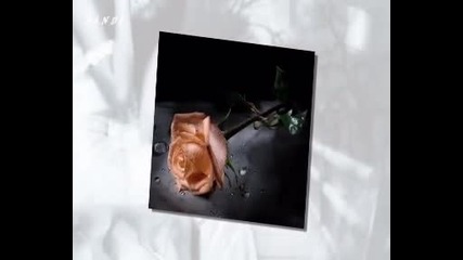 Hakala - Ruzice 